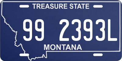 MT license plate 992393L