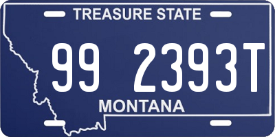 MT license plate 992393T