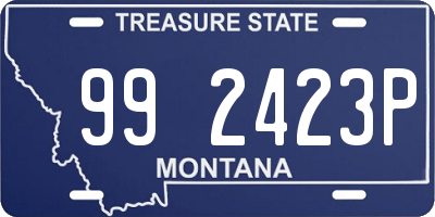 MT license plate 992423P