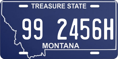 MT license plate 992456H