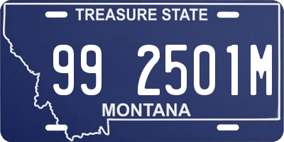 MT license plate 992501M