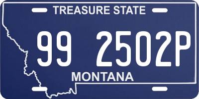 MT license plate 992502P