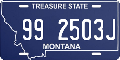 MT license plate 992503J