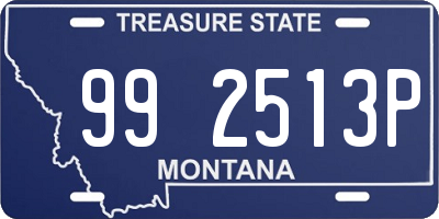 MT license plate 992513P