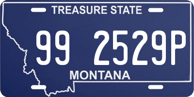 MT license plate 992529P