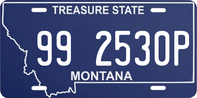 MT license plate 992530P