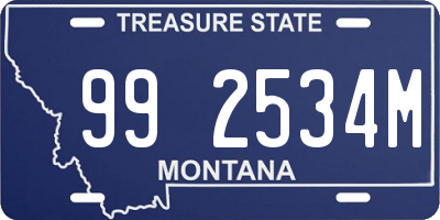 MT license plate 992534M