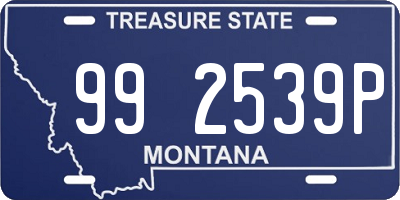 MT license plate 992539P