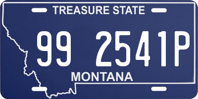 MT license plate 992541P