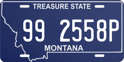 MT license plate 992558P