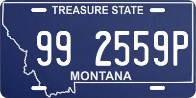 MT license plate 992559P