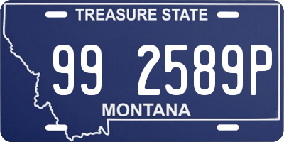 MT license plate 992589P