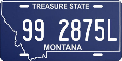 MT license plate 992875L