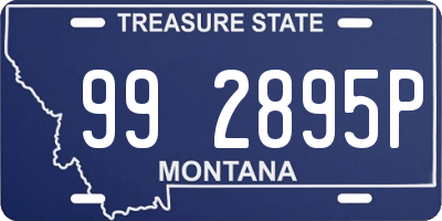 MT license plate 992895P