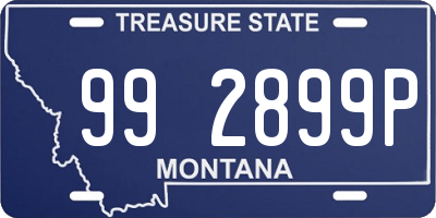 MT license plate 992899P