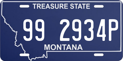 MT license plate 992934P