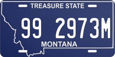 MT license plate 992973M