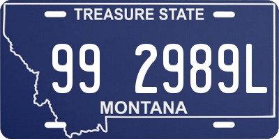 MT license plate 992989L