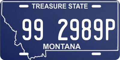 MT license plate 992989P