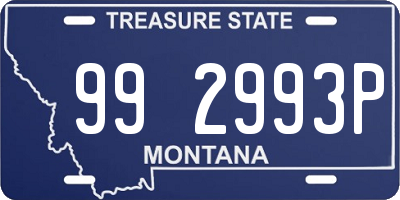 MT license plate 992993P