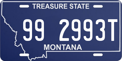 MT license plate 992993T