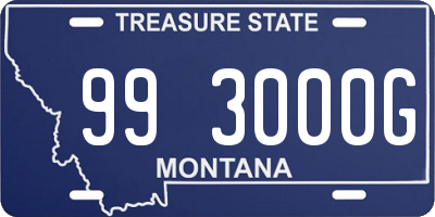 MT license plate 993000G