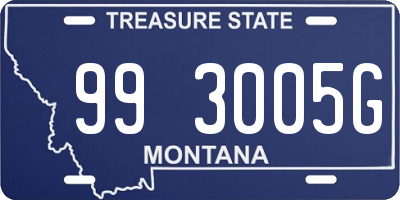 MT license plate 993005G