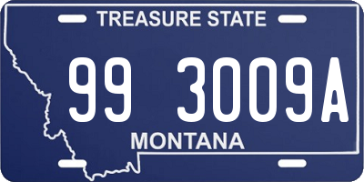 MT license plate 993009A