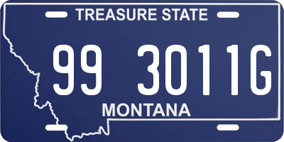 MT license plate 993011G