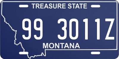 MT license plate 993011Z