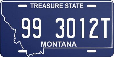 MT license plate 993012T