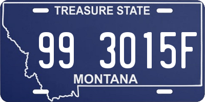 MT license plate 993015F