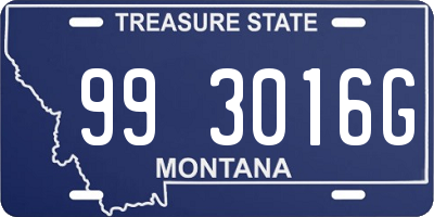 MT license plate 993016G