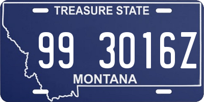 MT license plate 993016Z