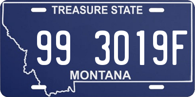 MT license plate 993019F