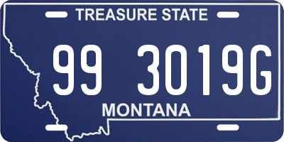 MT license plate 993019G