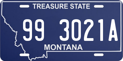 MT license plate 993021A