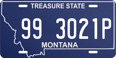 MT license plate 993021P