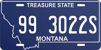 MT license plate 993022S