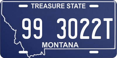 MT license plate 993022T