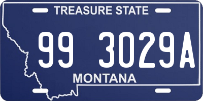 MT license plate 993029A