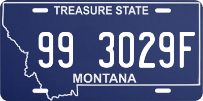 MT license plate 993029F