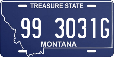 MT license plate 993031G