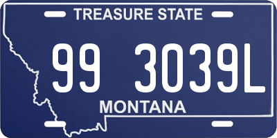 MT license plate 993039L