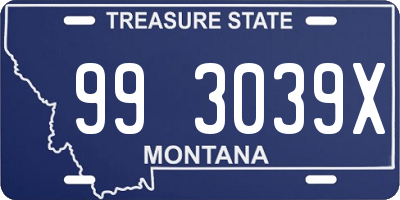 MT license plate 993039X