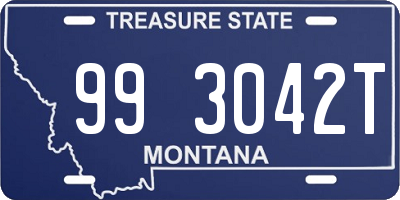 MT license plate 993042T