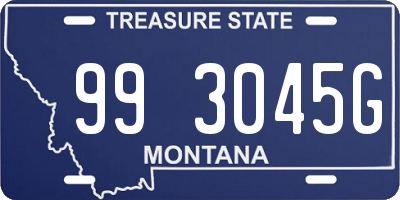 MT license plate 993045G