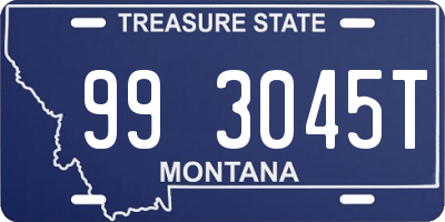 MT license plate 993045T