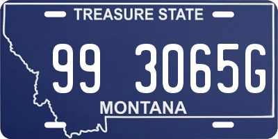 MT license plate 993065G