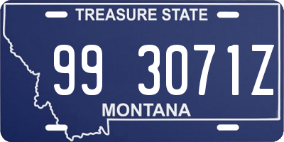 MT license plate 993071Z